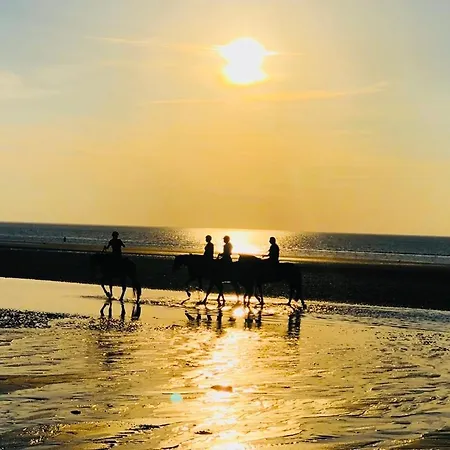 Duplex 2 A 6 Personnes - Plein Centre Довиль