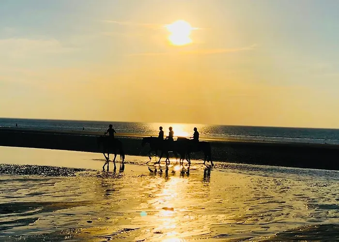 Duplex 2 A 6 Personnes - Plein Centre Довиль